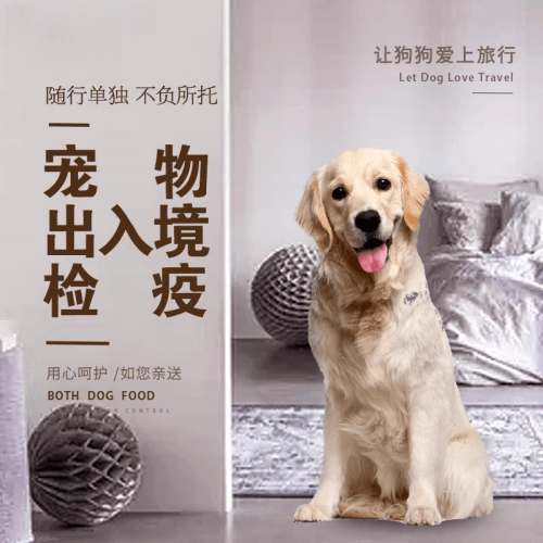 黑河市宠物托运到哥伦比亚猫狗宠物入境规定和