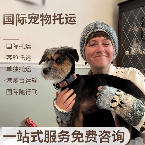 黑河市国际宠物托运到阿根廷宠物入境规定和要