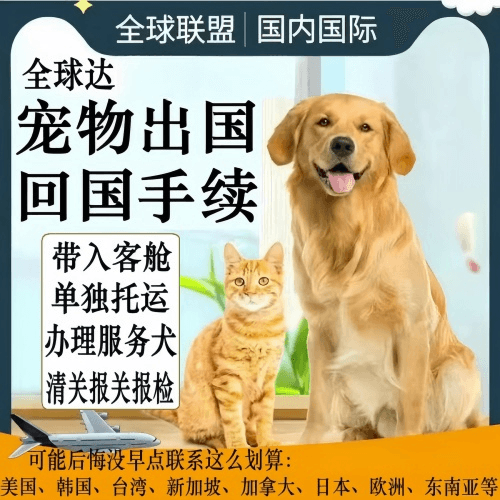 黑河市宠物托运到柬埔寨宠物入境规定和要求