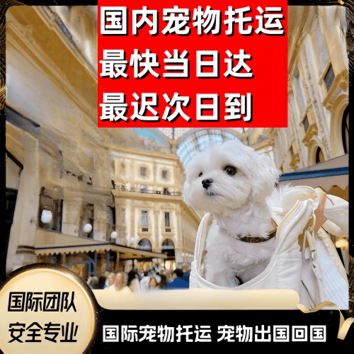 黑河市到澳大利亚（澳洲）宠物入境规定和要求