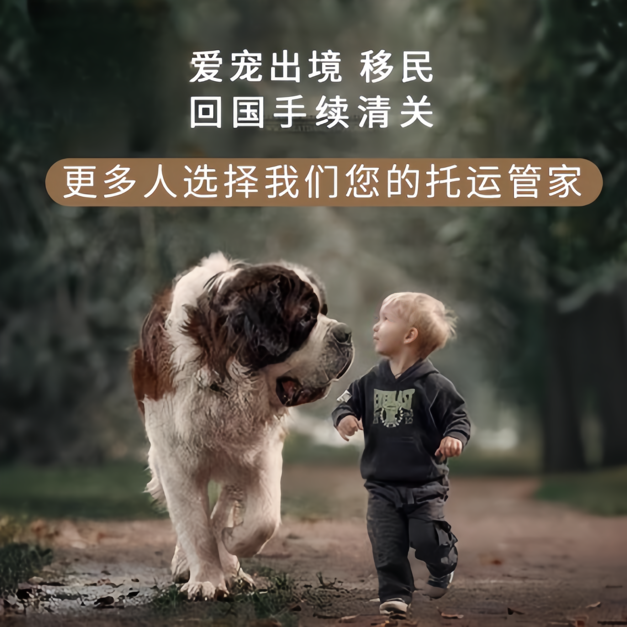 满财黑河市宠物全球达宠物托运在遵守入境目的地政策的条件