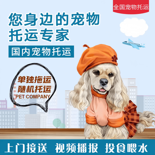满财黑河市宠物全球达宠物托运作为专业的宠物运输代理机构